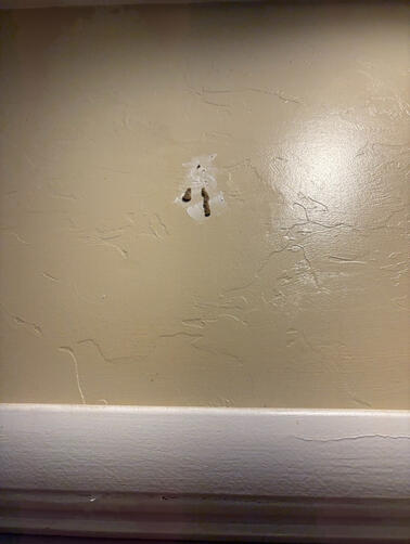Termites found after two weeks.